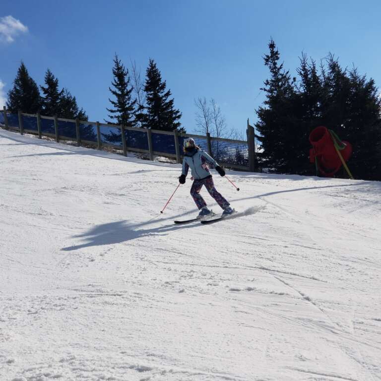 Winter Walden Skier